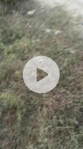 Param Uttar Pradesh road per accident hone se donon ki halat Gambhir Rama Kala hospital mein refer