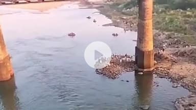 चास: तेलमोच्चो दामोदर नदी में लापता युवक की तलाश NDRF टीम द्वारा आज चौथे दिन भी जारी