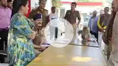 करछना: करछना थाना परिसर में आयोजित थाना समाधान दिवस पर जनसुनवाई के दौरान अधिकारियों के सामने अचानक मेज पर आकर बैठा बंदर