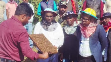 कैरो: मधुमक्खी पालन में ज़िला बन सकता है अग्रणी, समेकित कृषि व पशुपालन से जुड़ें: उपायुक्त डॉ. कुमार ताराचंद