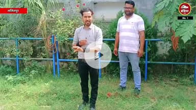 ननौरा ग्राम पंचायत में क्या है हाल