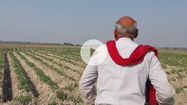 सिराथू: नई बस्ती में बुजुर्ग ने आरोप लगाया, दबंगों ने जमीन पर कब्जा कर आलू की फसल को बर्बाद किया, नहीं मिल रहा इंसाफ