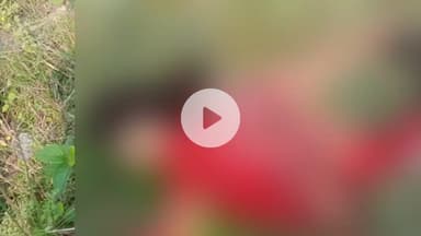 रक्सौल: रक्सौल शहर के समीप सहदेवा रेलवे ढाला के पास रेल पटरी के किनारे एक अज्ञात महिला का शव बरामद