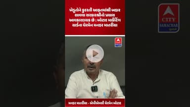 ખેડૂતોને કુદરતી આફતમાંથી બહાર લાવવા સરકારનો પ્રયાસ આવકારદાયક છે : બોટાદ માર્કેટિંગ યાર્ડના ચેરમેન
