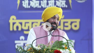 पंजाब के युवाओं को तोहफ़ा 🎁| CM भगवंत मान ने बांटे PSPCL में नियुक्ति पत्र |#PunjabUpdate