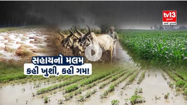 Girsomnath | ગીર સોમનાથ જિલ્લાના ખેડૂતોની પ્રતિક્રિયા | tv13gujarati