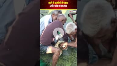 नाले में निकला मगर | Chambal News | MP News