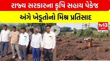 Jamnagar | રાજ્ય સરકારના કૃષિ સહાય પેકેજ અંગે ખેડૂતોનો મિશ્ર પ્રતિસાદ | tv13gujarati