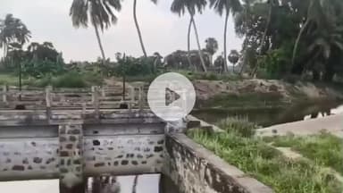 சாத்தான்குளம்: சடைனேரி வாய்க்காலை தூர்வார விவசாயிகள் மற்றும் பொதுமக்கள் வேண்டுகோள்