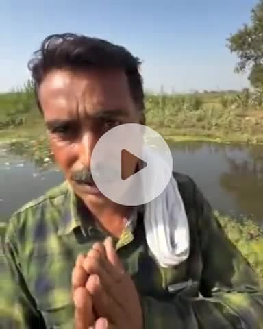 जगाधरी: आमवाला सरस्वती नदी में अचानक मरी मछलियां, ग्रामीणों में रोष, कहा- पिछले साल भी ऐसा ही हुआ था