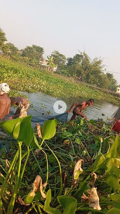 machhali maar rahe Nahar mein