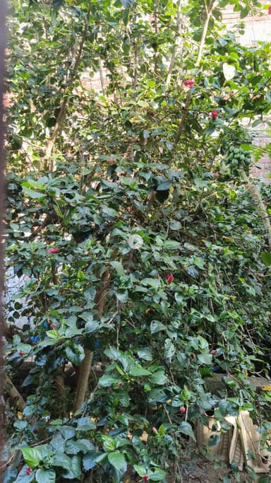 #reels#shorts#publicappreels@@