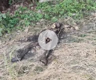 कानपुर: सचेण्डी के बीपीसीएल बाउंड्री के पास मिला नर कंकाल, 2 महीने पुराना बताया जा रहा है शव, हत्या की आशंका