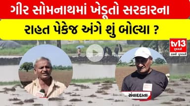 Farmers relief package | ગીર સોમનાથમાં ખેડૂતો સરકારના રાહત પેકેજ અંગે શું બોલ્યા ?