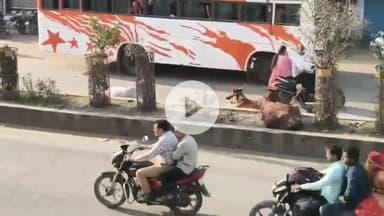 बीना: स्टेशन रोड सहित नगरीय क्षेत्र से आवारा मवेशी हटाए जाएंगे, गौशाला में शिफ्ट करने की तैयारी