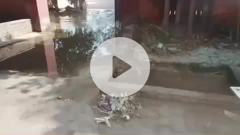 सरकारी क्वार्टर के मेंनं गेट पर पानी पाइप लीकेज होने से पानी भरा पड़ा है आने-जाने में हो रही है परेशानी, रायसिंहनगर