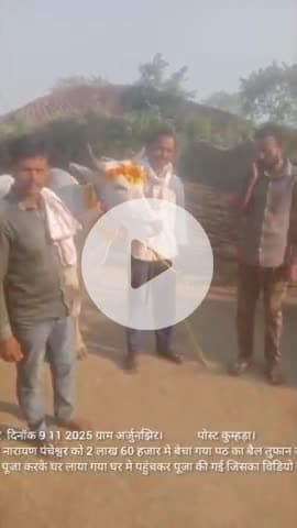 पठजोरी बैल बेचा गया ग्राम अर्जुनझिर  मे दिनॉक 9/11/2025