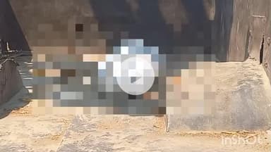 हरदोई: तत्यौरा गांव में संदिग्ध हालात में विवाहिता की मौत, पिता ने ससुराल वालों पर लगाए गंभीर आरोप, पुलिस ने कराया पोस्टमार्टम