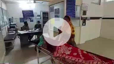 भिंड नगर: भिण्ड के पडवारी गांव में जंगली सूअर ने महिला पर हमला कर किया घायल, अस्पताल में भर्ती