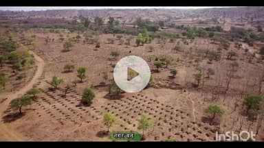 धार: धार में नए साल तक नगर वन होगा तैयार, तेलंगाना पैटर्न पर विशेष गार्डन बनेगा आकर्षण का केंद्र