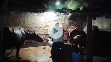 मिर्ज़ापुर: शहर कोतवाली थाना क्षेत्र के मोर्चा घर निवासी पीड़ित फतहा ने सभासदपति पर जान से मारने और गाय-भैंस को जहर देने का आरोप लगाया