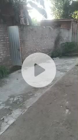 चैनपुर गांव में शिलाजीत सिंह के घर में हुई चोरी