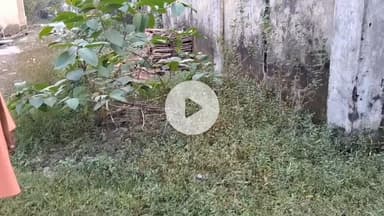 किसान नेता देवस्वरूप पटेल पहुंचे पीलीभीत पटेल छात्रावास निर्माण कार्य को लेकर जिलाधिकारी से की वार्ता।