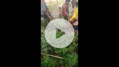 सिराथू: साईं का पूरा में खेत में सिंचाई के दौरान बिजली खम्बे के स्टेवायर में उतरे करंट लगने से किसान गंभीर घायल, प्रयागराज भर्ती