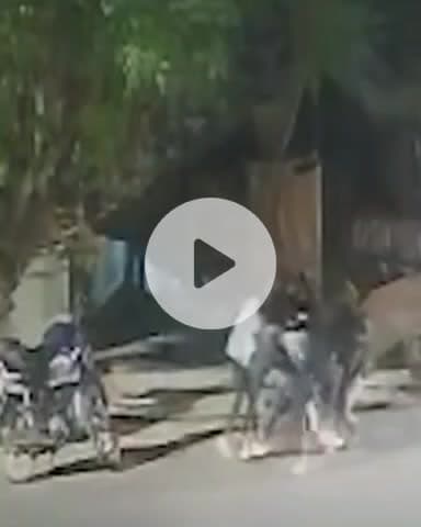 कानपुर: रावतपुर में बहन के प्रेमी को भाई ने दोस्तों के साथ मिलकर सड़क पर पीटकर अधमरा किया, वीडियो आया सामने