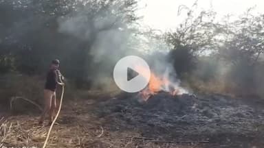 भुसावर: महाराजपुरा गांव में एक खेत में रखे पशुचारे में लगी आग, 150 मन पशु चारा जल गया, दमकल ने पाया आग पर काबू