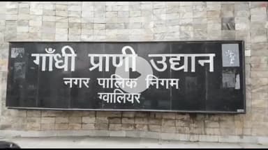 ग्वालियर गिर्द: चिड़ियाघर में वन्यजीवों को ठंड से बचाने के लिए खास इंतजाम, हीटर, बल्ब और गर्म खानपान की व्यवस्था