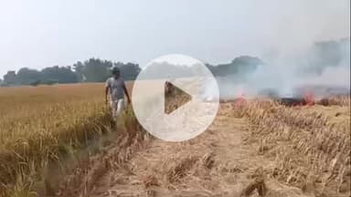 प्रतापगढ़: डीएम ने उतरास गांव में पराली जलाने के प्रकरण पर किसान को दी चेतावनी, जुर्माना वसूलने का दिया निर्देश