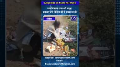 कचरे में खाना तलाशती मासूम, झकझोर देगी विदिशा की ये तस्वीर