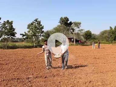 शिवपुरी: राजमाता विजयाराजे सिंधिया कृषि विश्वविद्यालय में कृषि छात्रों ने गेहूं फसल के लिए पोषक तत्वों का ट्रायल लगाया