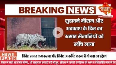 नाहरगढ़ जैविक उद्यान में लायन सफारी बनी आकर्षण का केन्द्र #sujasbreaking #sujassamachar