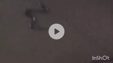 सतना एयरपोर्ट पर बार-बार दिख रहे सांप, एक बार फिर एयरपोर्ट पर निकला सांप