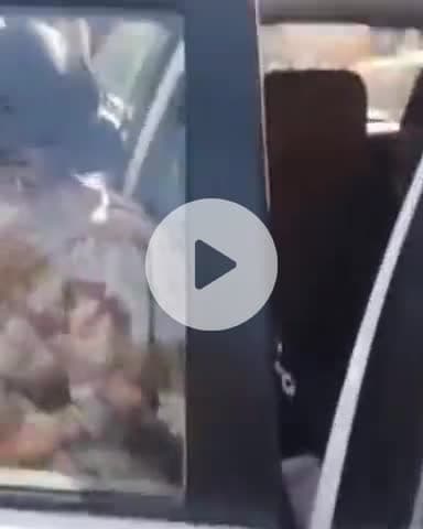 जगाधरी: जगाधरी बस स्टैंड से निकली इलेक्ट्रिक बस अचानक खराब, सवारियों ने किया हंगामा, मौके पर पहुंची पुलिस