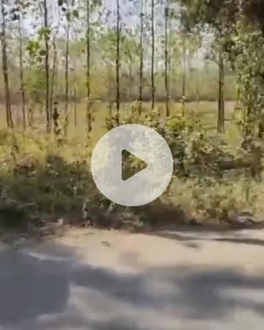 जगाधरी: खानूवाला के पास रोडवेज बस चालक ने कार को मारी टक्कर, मौके पर पहुंची पुलिस, लगा जाम