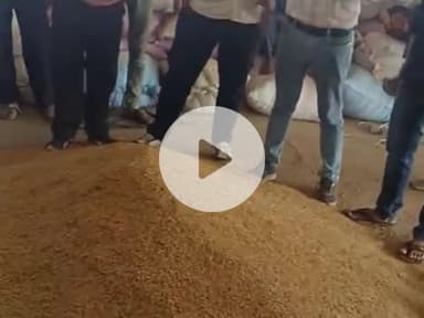 #हिंडोली मंडी में भाव चल रहा है 21 22 23 सो