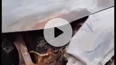 पतरघट: घर-गाड़ी में आग लगाने के 12 दिन बाद पीड़ित ने सहरसा SP और DIG से न्याय की गुहार लगाई