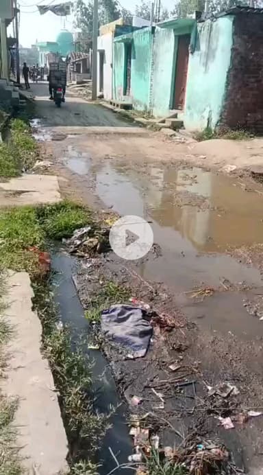 पूरनपुर: शेरपुर कला में साफ-सफाई न होने से रास्ते पर भरा पानी, लोग परेशान