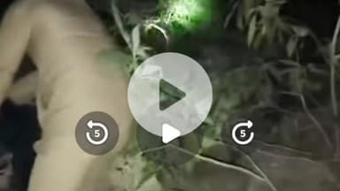 चकराता: बास्तिल रोड पर दर्दनाक हादसे में खाई में गिरने से एक व्यक्ति की हुई मौत