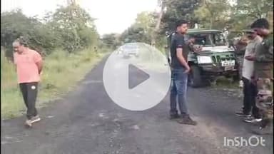 समुद्रपूर: गिरड परीसरात दहशत निर्माण करणाऱ्या वाघाचे पुन्हा नागपूर जिल्ह्यात पलायन:शोध कार्य सुरू:वनविगाभाची माहिती