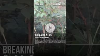 सिवनी में बाघ का मूवमेंट! बरघाट के गोंडे गांव में दिखा टाइगर | ग्रामीणों में दहशत | Seoni News