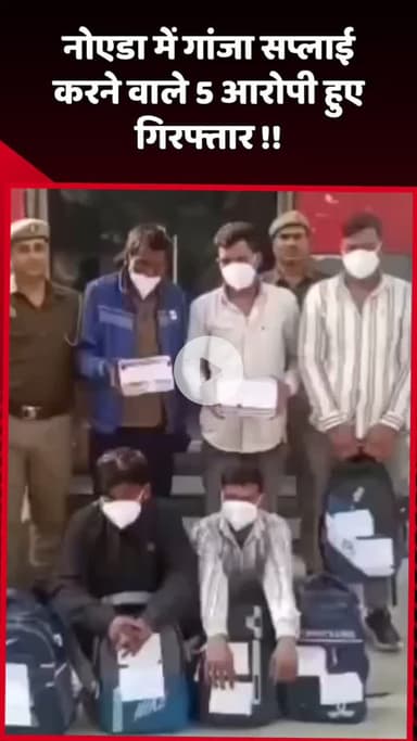 दादरी: नोएडा में गांजा सप्लाई करने वाले 5 आरोपियों को किया गया गिरफ्तार