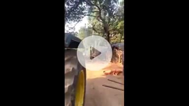 ललितपुर: रील बनाते समय ट्रैक्टर से गिरकर युवक की मौत, परिजनों ने घटना की जानकारी दी