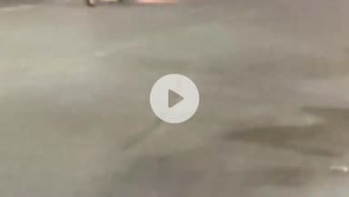 जैसीनगर: बिलहरा बस स्टैंड के पास दर्दनाक हादसा, आपे की टक्कर से माँ का हाथ थामे सड़क पार कर रही 4 वर्षीय बच्ची की मौत