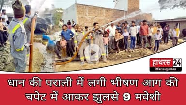 Hathras News : धान की पराली में लगी भीषण आग की चपेट में आकर झुलसे 9 मवेशी...