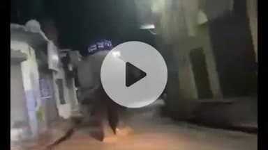 हरिद्वार: जमालपुर कला में फिर घुसे जंगली हाथी, आगे हाथी और पीछे-पीछे खदेड़ते वनकर्मी, वीडियो हुआ वायरल