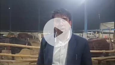 हाथरस: जिलाधिकारी ने सीवेज फार्म के पास स्थित स्थाई गोवंश आश्रम का किया औचक निरीक्षण, खामियों पर मांगा स्पष्टीकरण